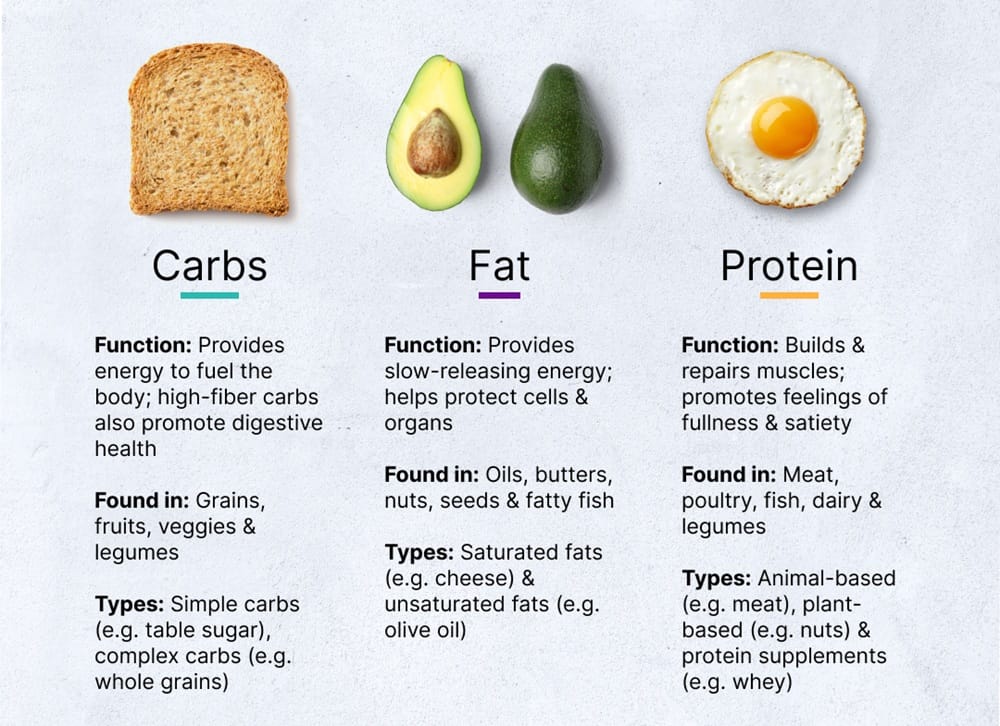 The Importance Of Macronutrients In Cutting