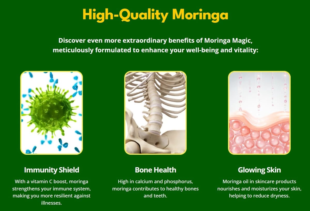 Energy Boosting With Moringa Magic