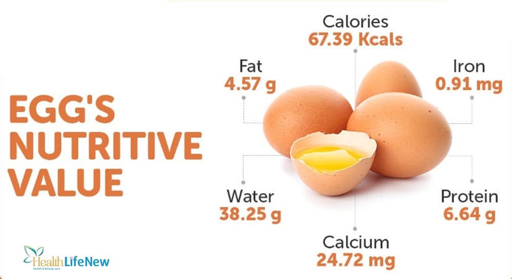 The Nutritional Profile Of Egg Fat Grams